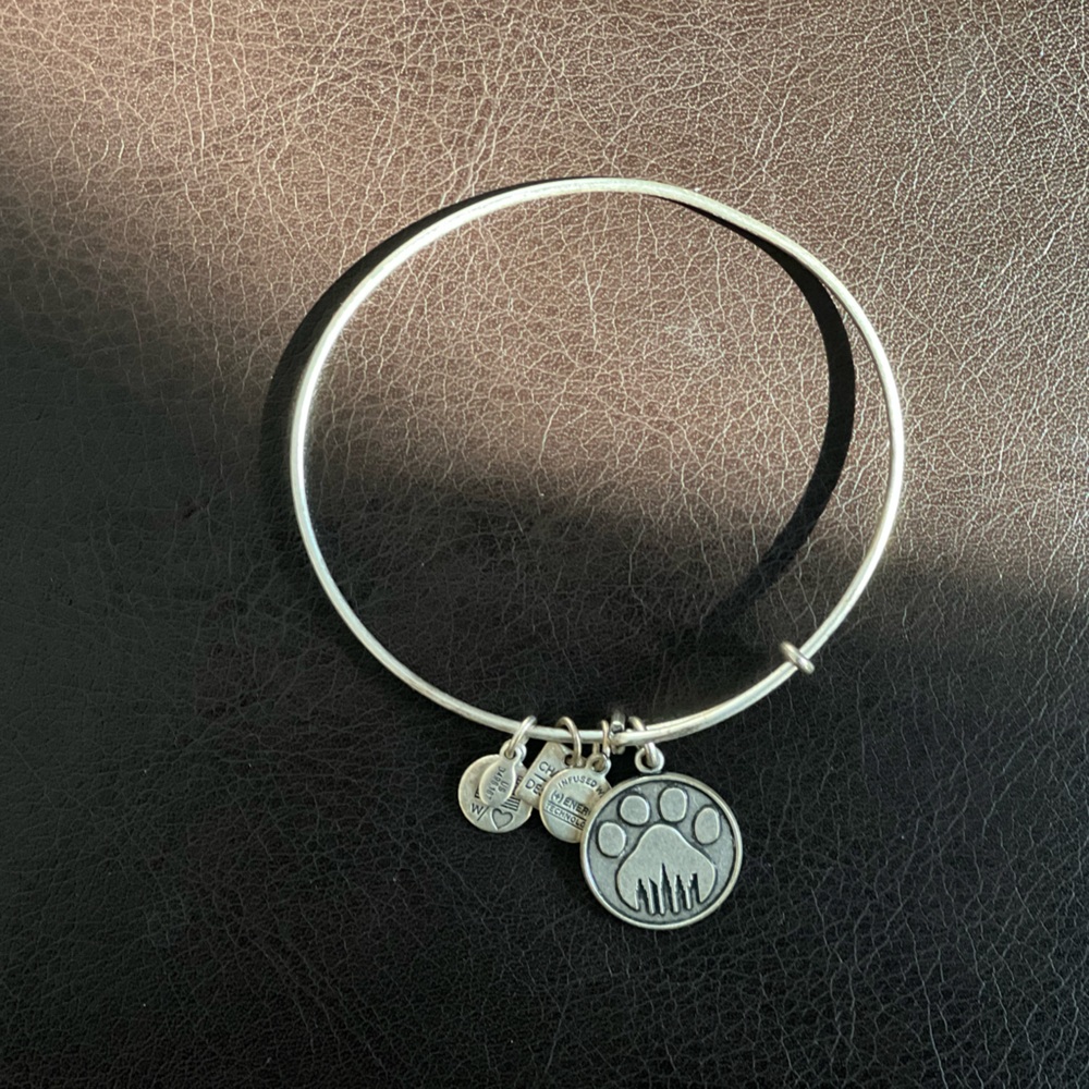 Alex & Ani | Special Paw Print Charm Bangle | City Skyline
